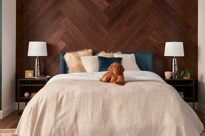 brown hound dog laying on a well made bed with a beige comforter with a teal headboard and black night stands